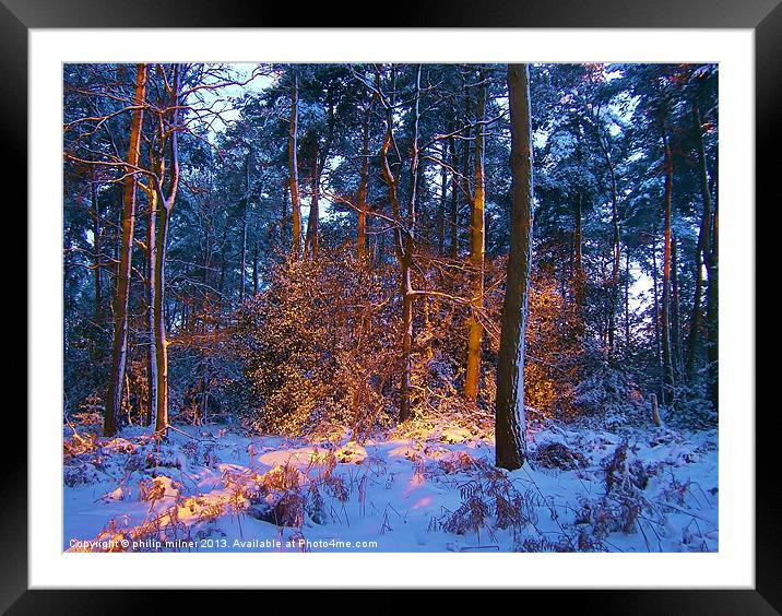 Sunrise Bursting Through The Forest Framed Mounted Print by philip milner