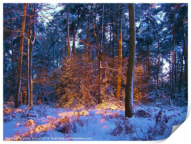 Sunrise Bursting Through The Forest Print by philip milner