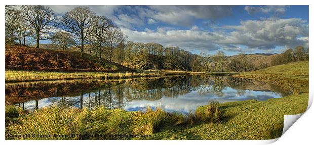 The River Brathay Print by Jamie Green