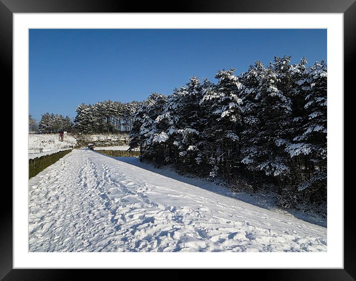 Snowy Scene Scout Dike Framed Mounted Print by Chris Andrew
