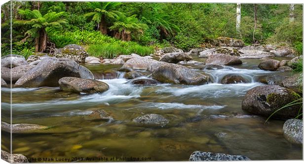 Rocky Valley Creek - Alpine National Park Victoria Canvas Print by Mark Lucey