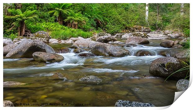 Rocky Valley Creek - Alpine National Park Victoria Print by Mark Lucey