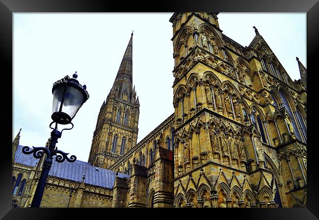 Salisbury Cathedral Framed Print by Oliver Firkins