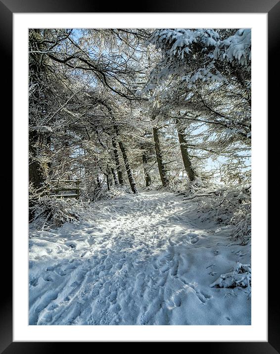 Snowy Woodland Scene Framed Mounted Print by Chris Andrew