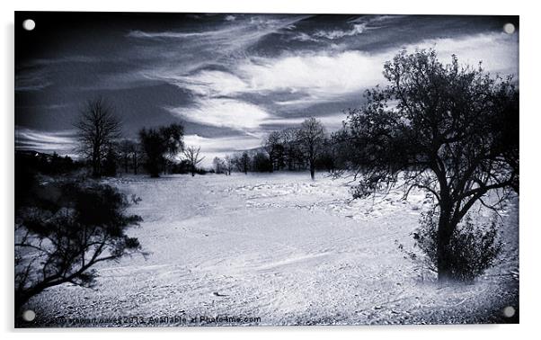 Winter wonderland Acrylic by stewart oakes