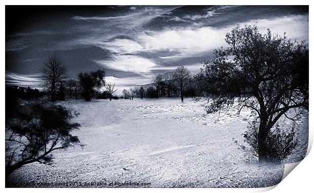 Winter wonderland Print by stewart oakes