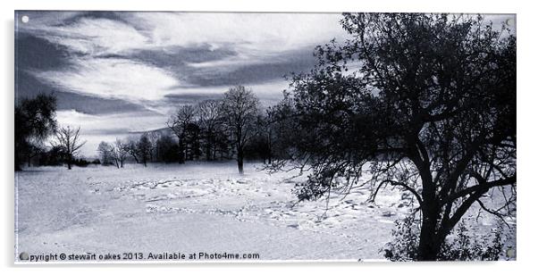 Winter wonderland - up close Acrylic by stewart oakes