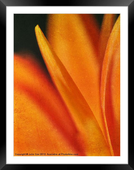 Tight Framed Mounted Print by Julie Coe