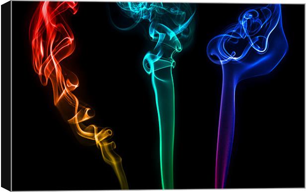 Coloured smoke Canvas Print by Sam Burton