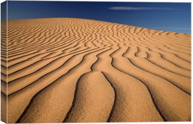 Sand Dune Canvas Print by peter schickert