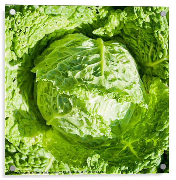 Savoy cabbage Acrylic by Kathleen Smith (kbhsphoto)