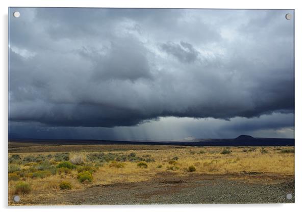 Approaching storm, Nevada desert Acrylic by Claudio Del Luongo
