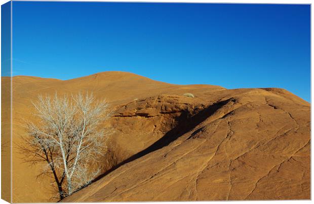 Orange rock hill with white dry tree under blue sk Canvas Print by Claudio Del Luongo