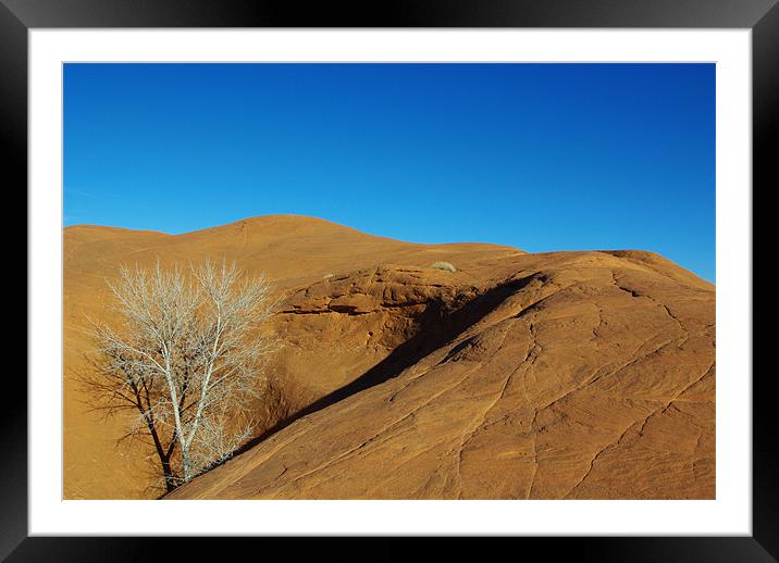 Orange rock hill with white dry tree under blue sk Framed Mounted Print by Claudio Del Luongo