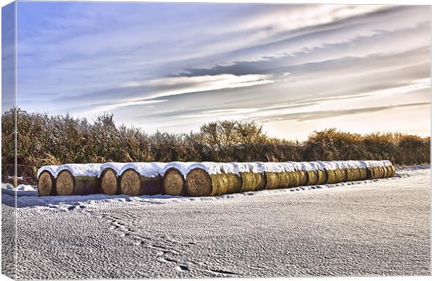 Bales Canvas Print by kevin wise