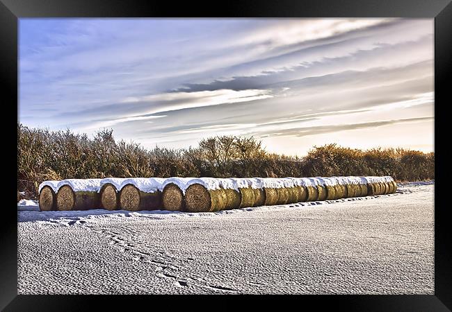 Bales Framed Print by kevin wise