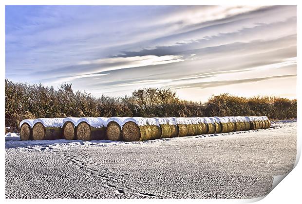 Bales Print by kevin wise