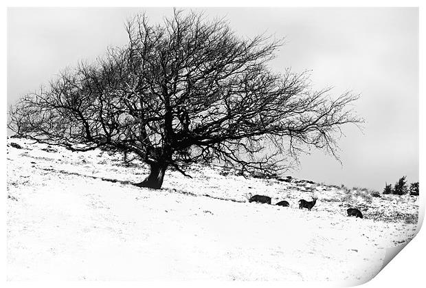 Tree in Snow with Deer Print by Jacqi Elmslie