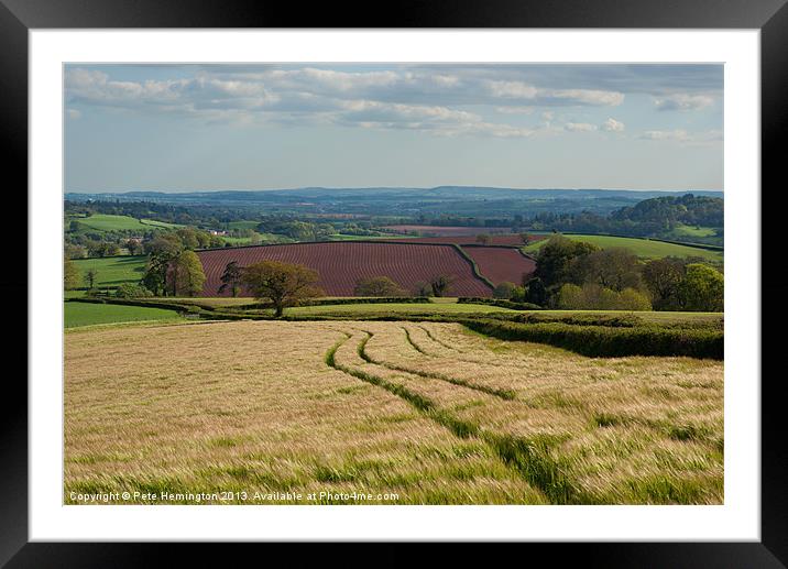 Devon Rural Scene Framed Mounted Print by Pete Hemington
