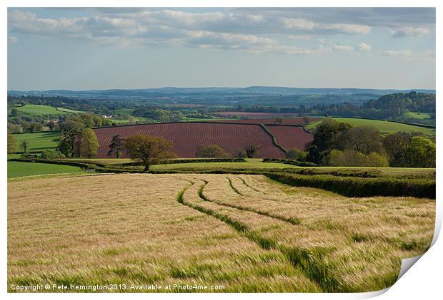 Devon Rural Scene Print by Pete Hemington