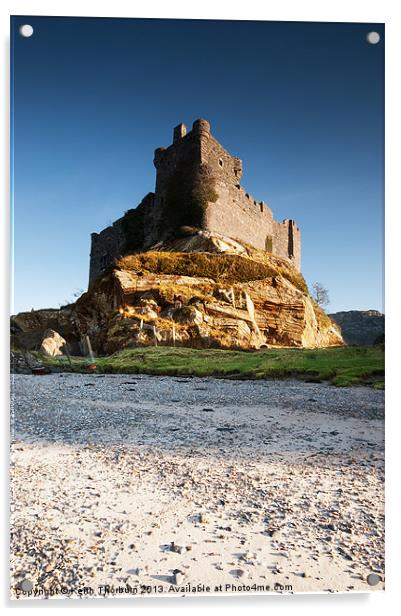 Castle Tioram Acrylic by Keith Thorburn EFIAP/b