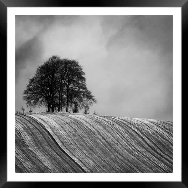 Tree Clump Framed Mounted Print by Oxon Images