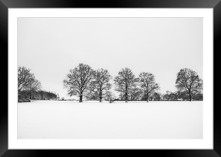 Trees in the snow Framed Mounted Print by Dawn Cox
