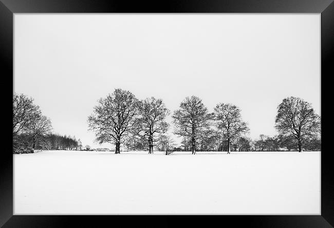 Trees in the snow Framed Print by Dawn Cox