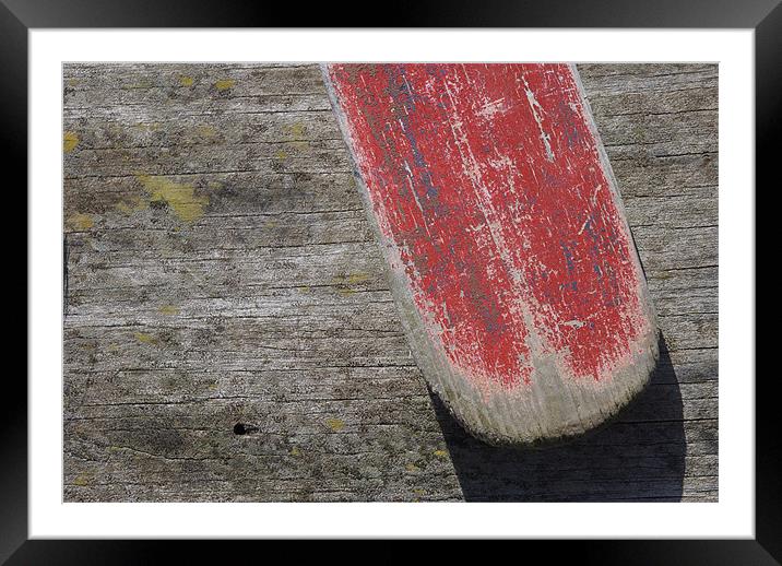 the red oar Framed Mounted Print by Marc Melander