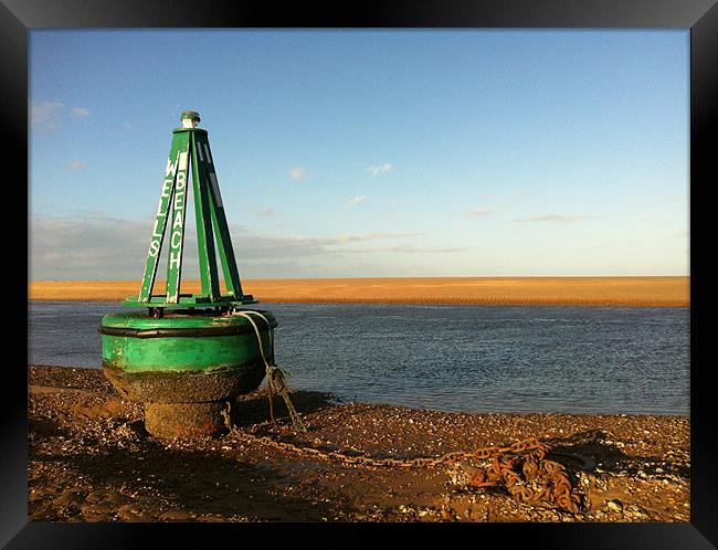 beach buoy Framed Print by Marc Melander