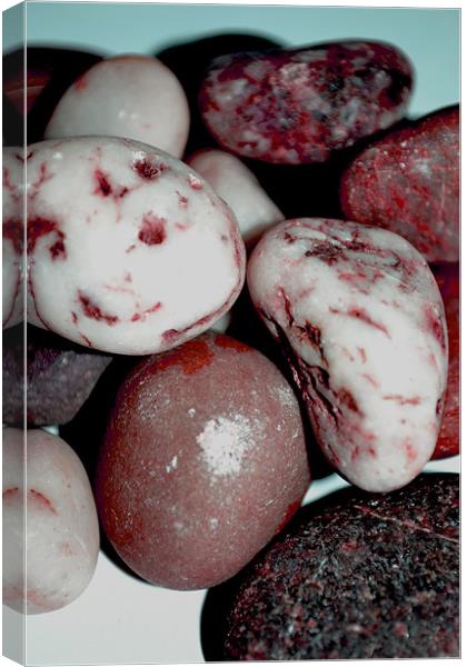 Picture of pebbles. Canvas Print by Nadeesha Jayamanne