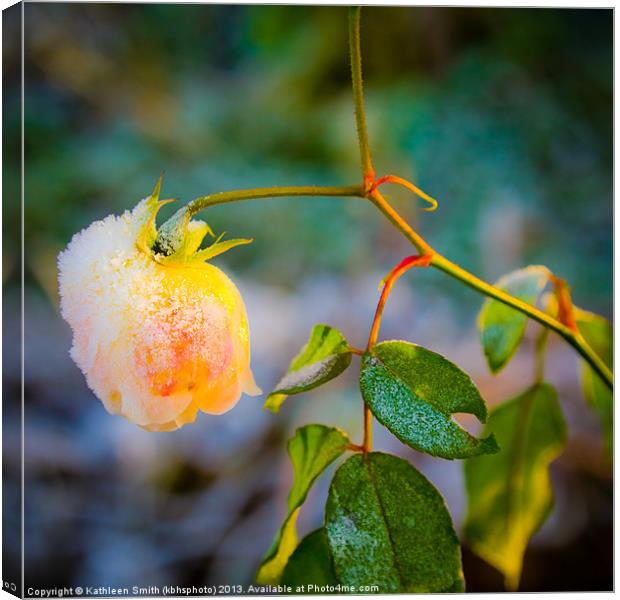 Frosted yellow rose Canvas Print by Kathleen Smith (kbhsphoto)