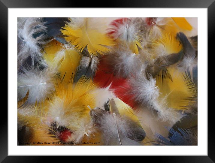 Soft feathers Framed Mounted Print by Mark Cake
