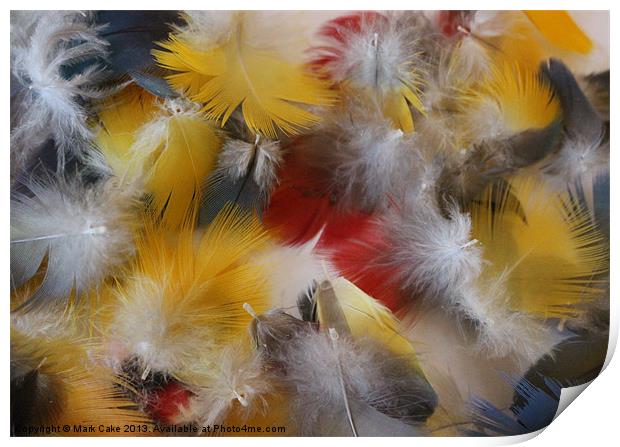 Soft feathers Print by Mark Cake