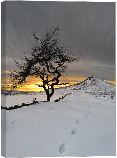  Roseberry Topping, Winter Sunset, Teesside Canvas Print by Greg Marshall