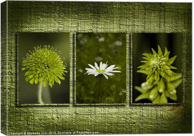Flowers on Wooden Background Canvas Print by Michelle Orai