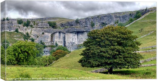 On The Way To Malham Cove Canvas Print by Colin Williams Photography