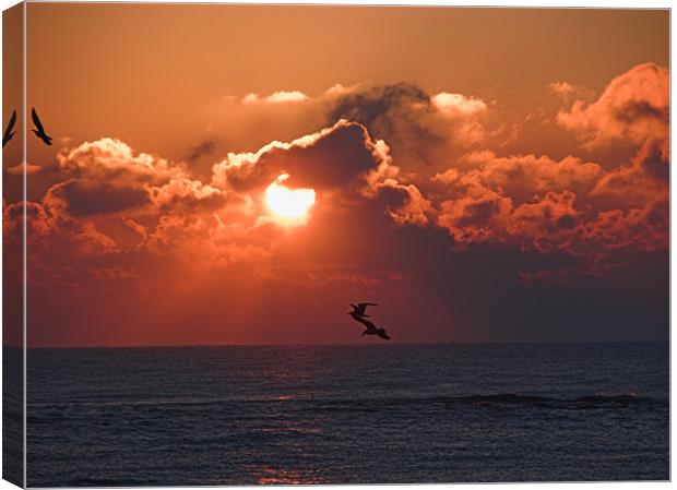 Sunrise on the Sea Canvas Print by Dave Bell