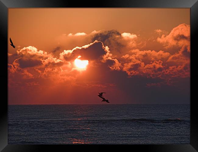 Sunrise on the Sea Framed Print by Dave Bell