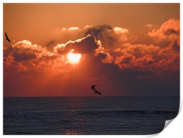 Sunrise on the Sea Print by Dave Bell