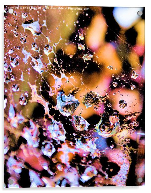Wet Web Abstract Acrylic by Brian  Raggatt