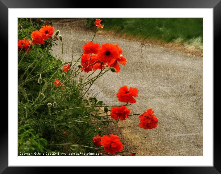 Roadside Poppies Framed Mounted Print by Julie Coe