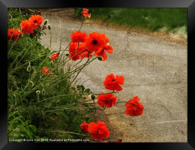 Roadside Poppies Framed Print by Julie Coe