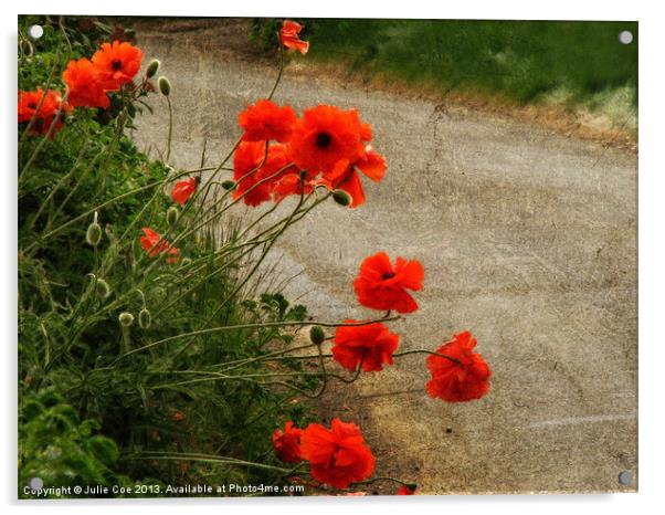 Roadside Poppies Acrylic by Julie Coe