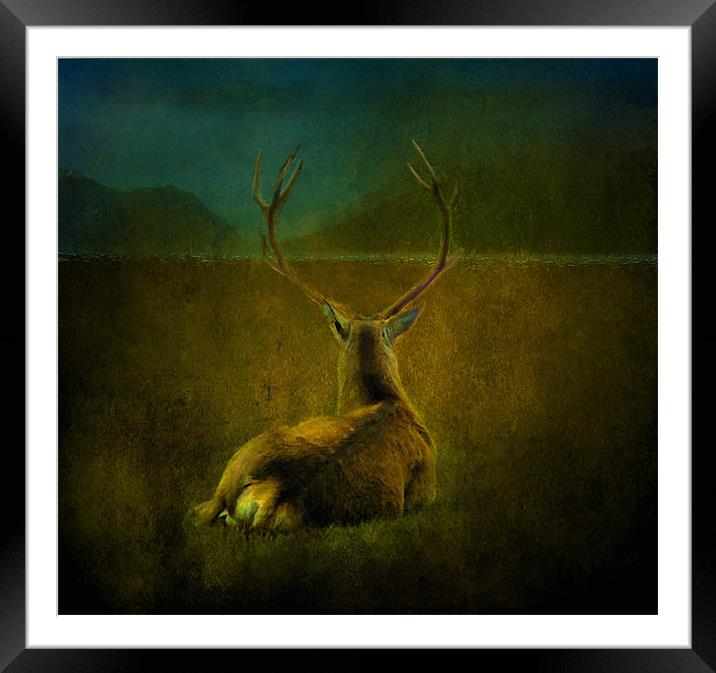 Deer Framed Mounted Print by Debra Kelday