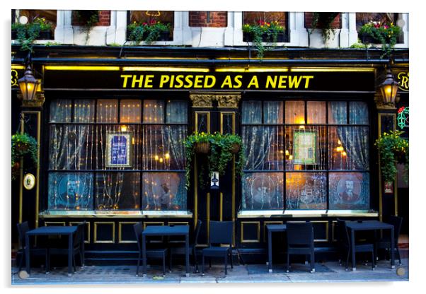 Pissed as a Newt Pub Acrylic by David Pyatt