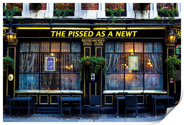 Pissed as a Newt Pub Print by David Pyatt