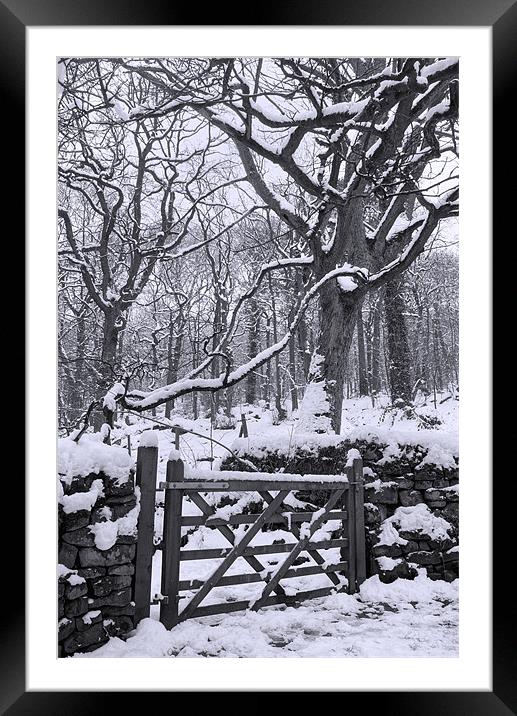 Entrance to Padley Gorge Framed Mounted Print by Darren Galpin