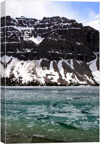 Icy Lake with Mountains Canvas Print by Megan Winder