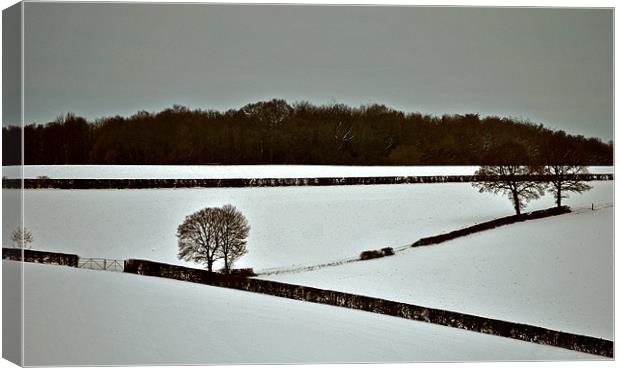 Winter Canvas Print by graham young